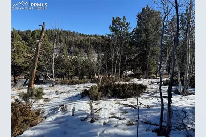 91 Hidden Valley Drive, Florissant, CO 80816 - Photo 1