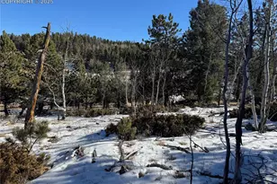 91 Hidden Valley Dr, Florissant, CO 80816 - Photo 1