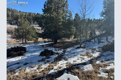 91 Hidden Valley Drive, Florissant, CO 80816 - Photo 19