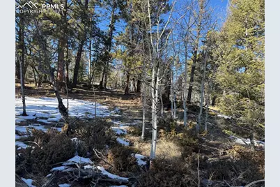 91 Hidden Valley Drive, Florissant, CO 80816 - Photo 15