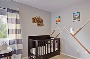 7650 Julynn Rd, Colorado Springs, CO 80919 - Photo 19