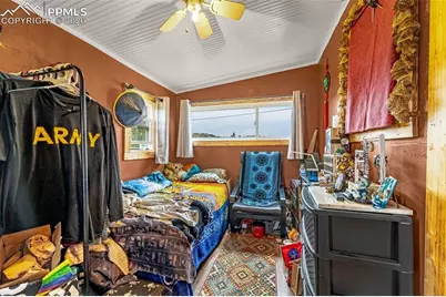 207 W Eaton Avenue, Cripple Creek, CO 80813 - Photo 7