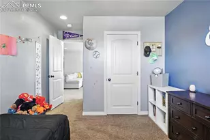 7340 Grama Grass Ct, Colorado Springs, CO 80915 - Photo 19