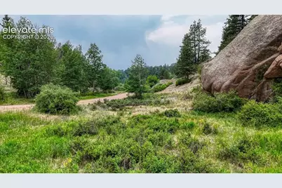 830 Pinon Lane, Florissant, CO 80816 - Photo 9