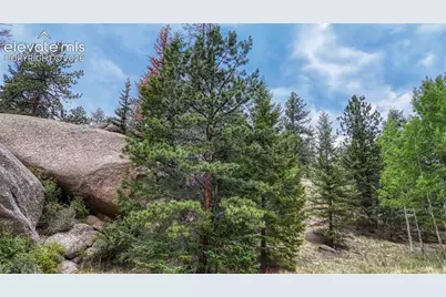 830 Pinon Lane, Florissant, CO 80816 - Photo 21