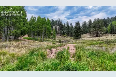 830 Pinon Lane, Florissant, CO 80816 - Photo 11