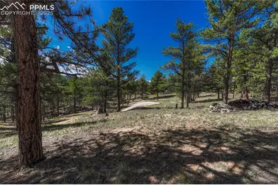 101 Dunlap Drive, Florissant, CO 80816 - Photo 23