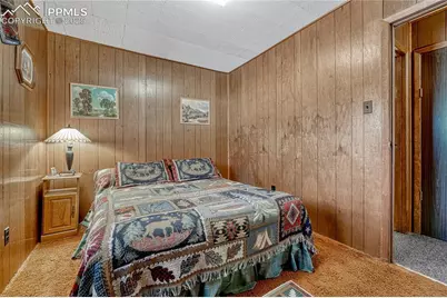 101 Dunlap Drive, Florissant, CO 80816 - Photo 15