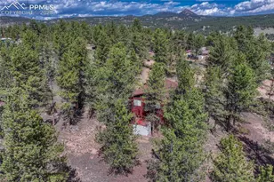 101 Dunlap Dr, Florissant, CO 80816 - Photo 39