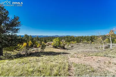 145 Crestone Circle, Florissant, CO 80816 - Photo 39