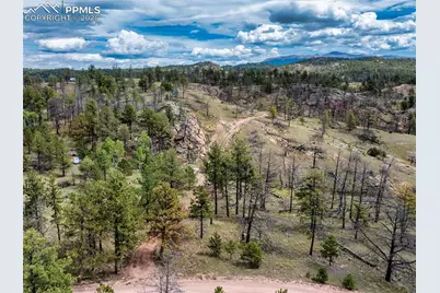 224 Chapparal Trail, Florissant, CO 80816 - Photo 9
