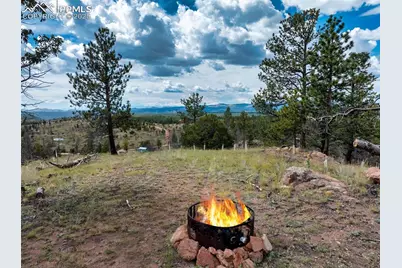 224 Chapparal Trail, Florissant, CO 80816 - Photo 3