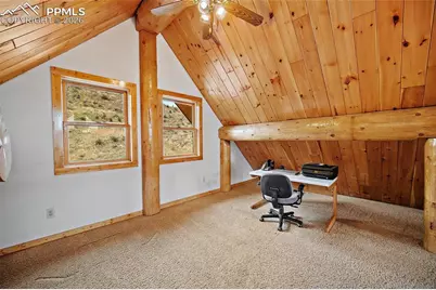 13475 Hedi Road, Woodland Park, CO 80863 - Photo 19
