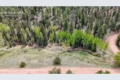 42 Rabbit Circle, Florissant, CO 80816 - Photo 19