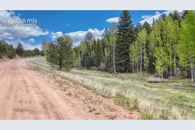 42 Rabbit Circle, Florissant, CO 80816 - Photo 5