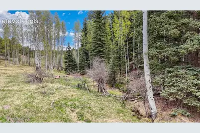 42 Rabbit Circle, Florissant, CO 80816 - Photo 7