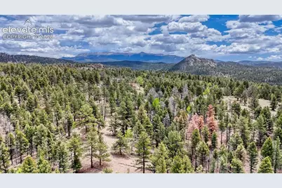 42 Rabbit Circle, Florissant, CO 80816 - Photo 13