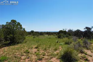 Williams Rd, Walsenburg, CO 81089 - Photo 1