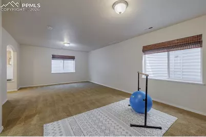 7878 Silver Birch Drive, Colorado Springs, CO 80927 - Photo 41