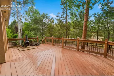 18015 Bankhurst Court, Monument, CO 80132 - Photo 5
