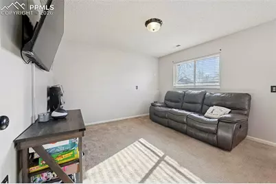 353 Cumming Avenue, Fountain, CO 80817 - Photo 19