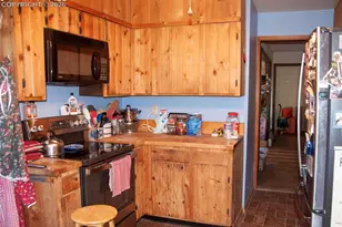 16820 Vincent Ave, Monument, CO 80132 - Photo 9