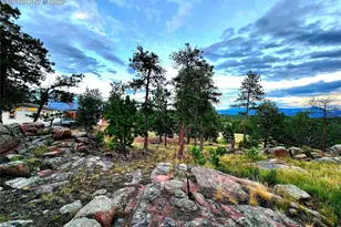 277 Cherokee Dr, Florissant, CO 80816 - Photo 7