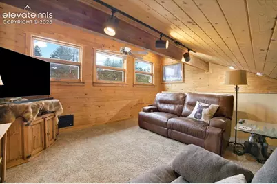 715 W Bison Creek Trail, Florissant, CO 80816 - Photo 21