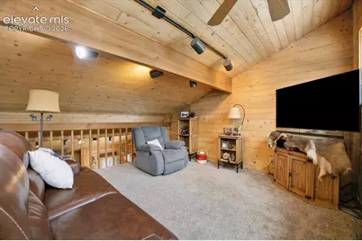 715 W Bison Creek Trail, Florissant, CO 80816 - Photo 19