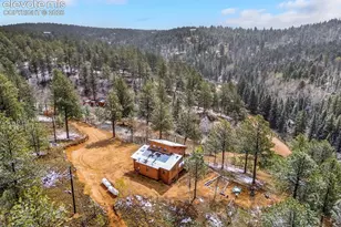 715 W Bison Creek Trail, Florissant, CO 80816 - Photo 39