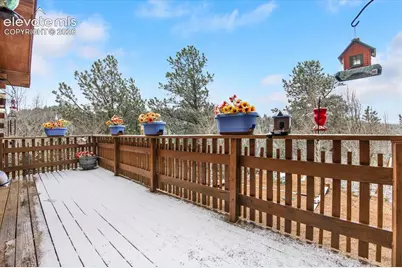 715 W Bison Creek Trail, Florissant, CO 80816 - Photo 29