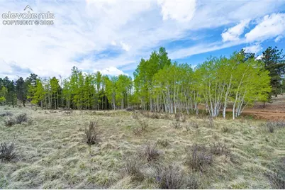 57 Beaver Creek Drive, Lake George, CO 80827 - Photo 3