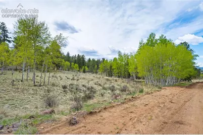 57 Beaver Creek Drive, Lake George, CO 80827 - Photo 11