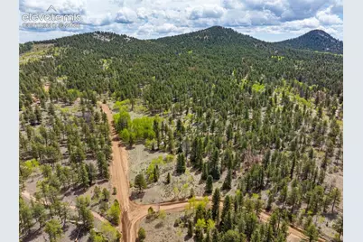 57 Beaver Creek Drive, Lake George, CO 80827 - Photo 7