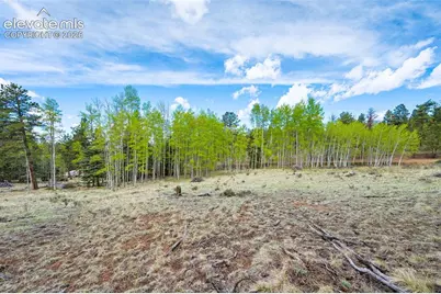 57 Beaver Creek Drive, Lake George, CO 80827 - Photo 1