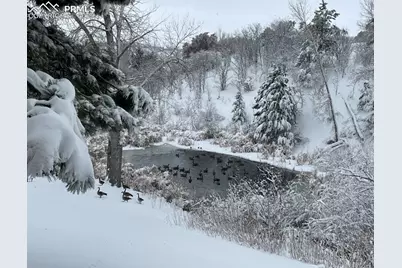 1661 Deer Creek Road, Monument, CO 80132 - Photo 43