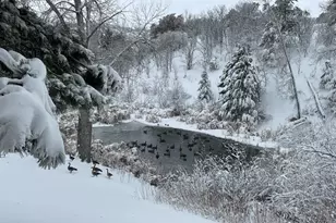 1661 Deer Creek Rd, Monument, CO 80132 - Photo 43