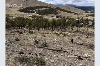 H Path, Cotopaxi, CO 81223 - Photo 5