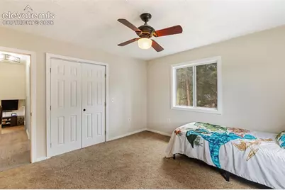 10 Ollie Court, Woodland Park, CO 80863 - Photo 15