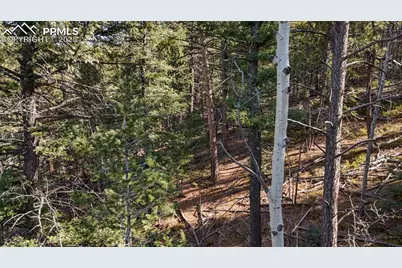 342 Vivenda Road, Cripple Creek, CO 80813 - Photo 9