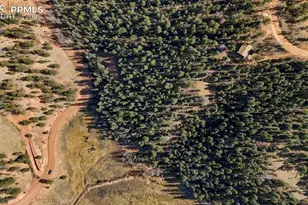 342 Vivenda Rd, Cripple Creek, CO 80813 - Photo 1