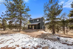 142 Hackamore Dr, Florissant, CO 80816 - Photo 3