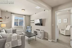 8842 White Pr Vw, Colorado Springs, CO 80924 - Photo 25