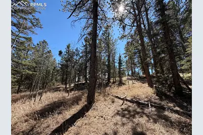 249 Gold Dust Creek Road, Florissant, CO 80816 - Photo 7