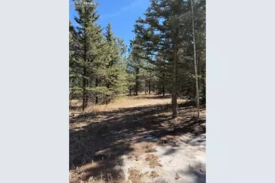 249 Gold Dust Creek Road, Florissant, CO 80816 - Photo 23