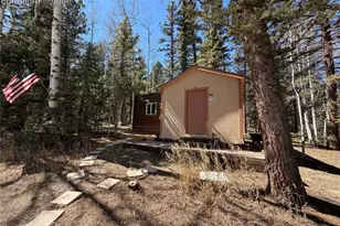 249 Gold Dust Creek Rd, Florissant, CO 80816 - Photo 1