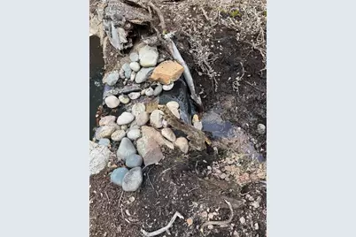 249 Gold Dust Creek Road, Florissant, CO 80816 - Photo 13