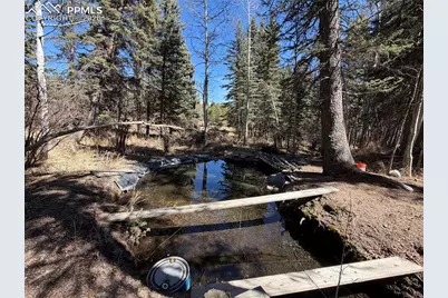 249 Gold Dust Creek Road, Florissant, CO 80816 - Photo 11