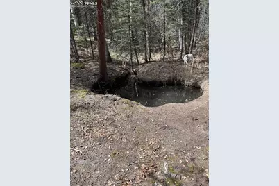 249 Gold Dust Creek Road, Florissant, CO 80816 - Photo 15