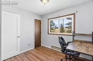 178 Cottonwood Lake Dr, Divide, CO 80814 - Photo 27